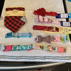 Xs & small Dog Collars Choose One