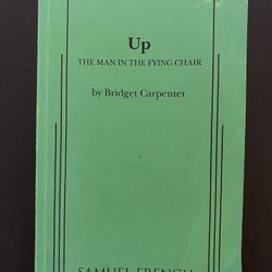 Up The Man In The Flying Chair By Bridget Carpenter 