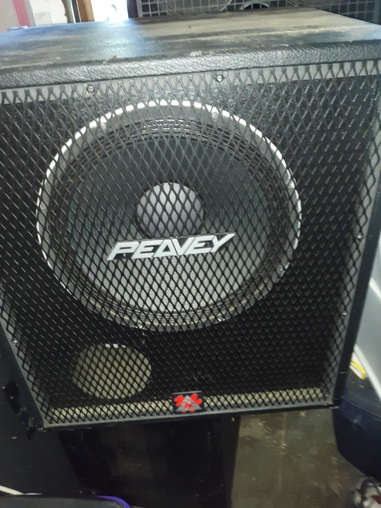 Peavey 15"