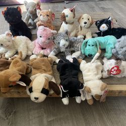 Beanie Babies