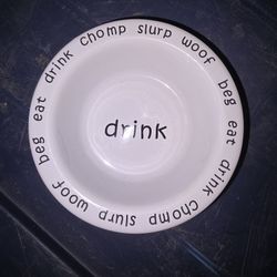 Cat Bowl