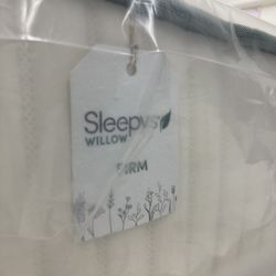 Queen Sleepys Willow