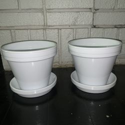 White Flower Pot