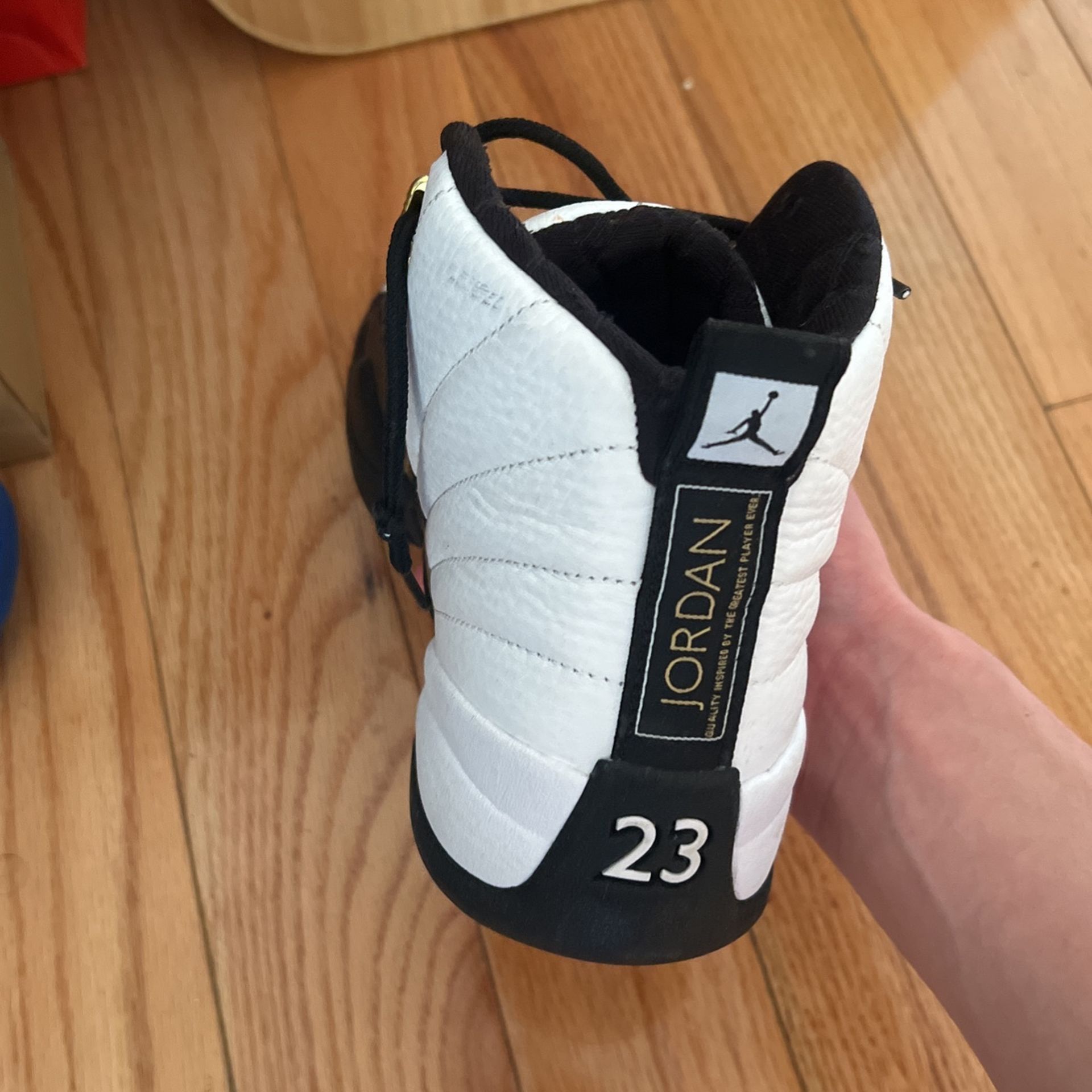 Jordan Taxi 12s Men's shoes