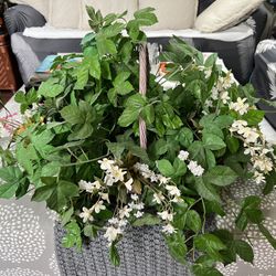 Beautiful Fake plants with nice basket/ handle. nice clean 🪴.  18”tall, 33” W. Just $20.