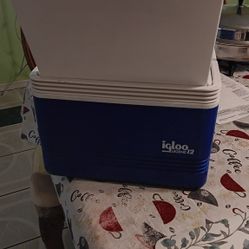 Nice  Ice Chest. 9x9x13
