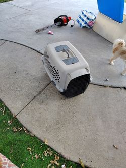 Travel Dog Or Cat House