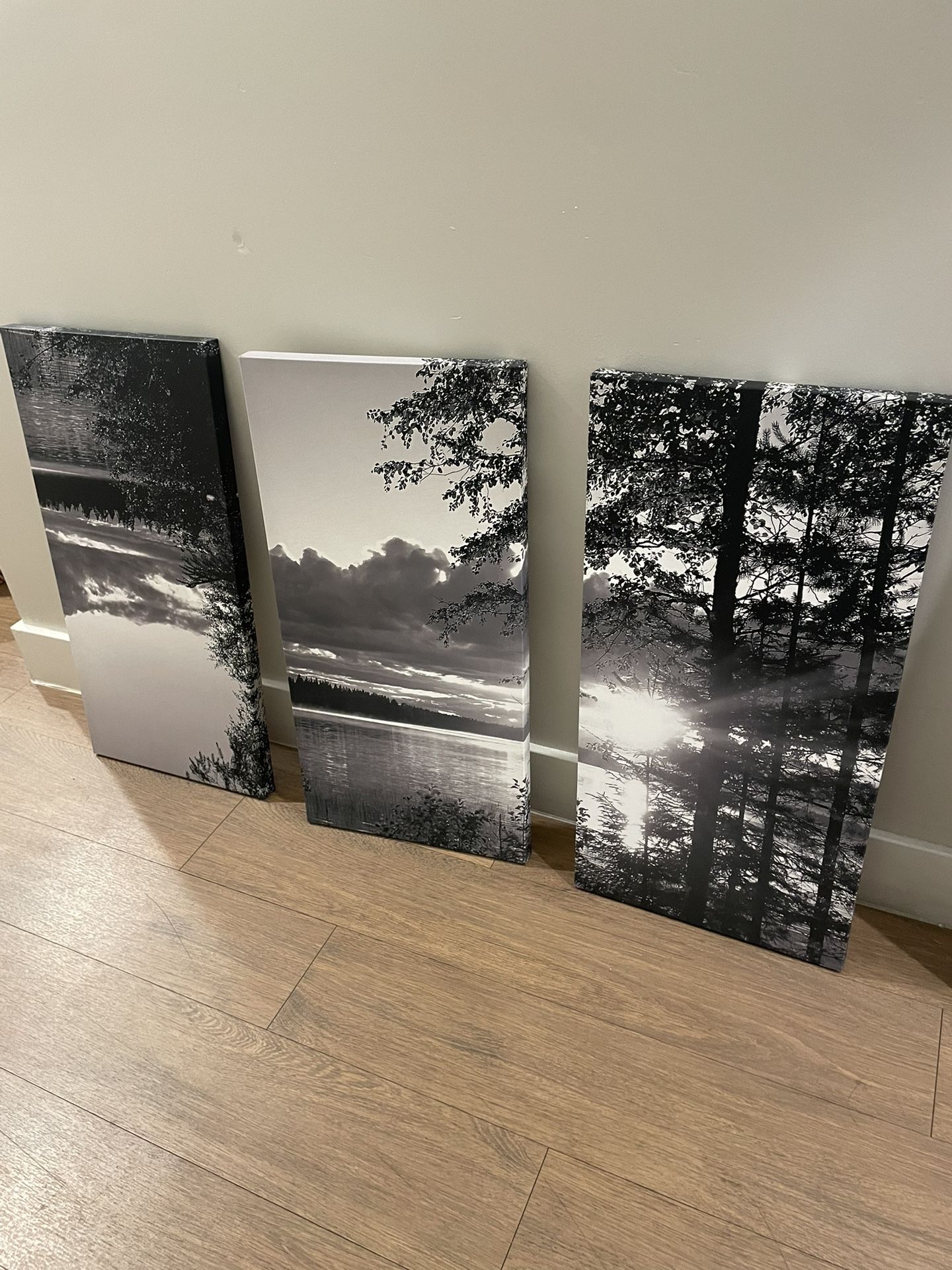 Canvas Wall Art (3 Pieces)