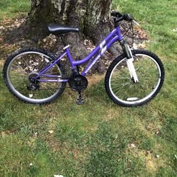 24” Mountain Bike 