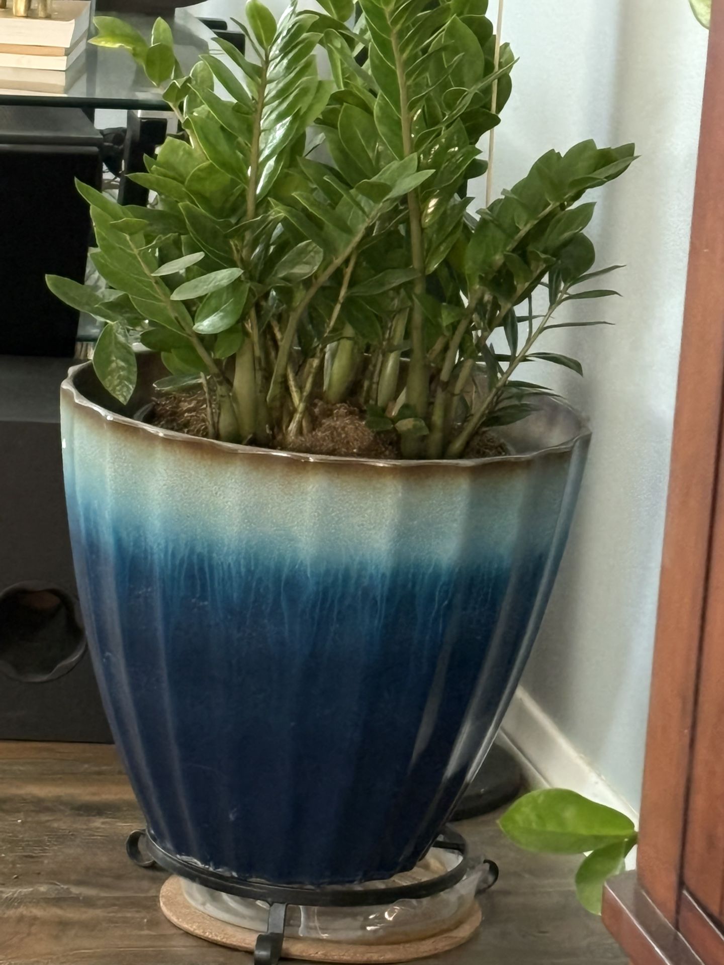 15 Inch Indoor/ Outdoor Planter Pot