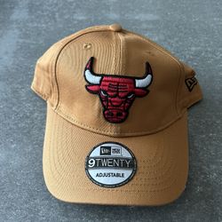 Brand new Chicago Bulls hat