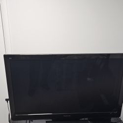 42 Inch Plasma TV