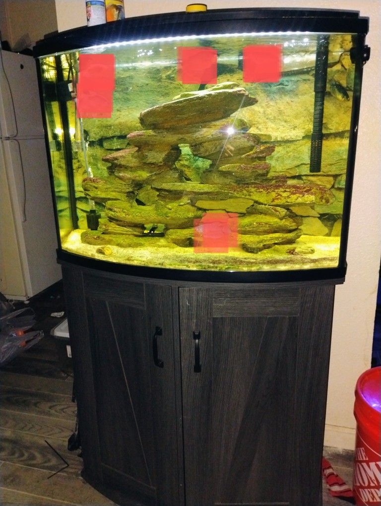36 Gallon Bowfront Fish Tank Aquarium With Stand And Decor