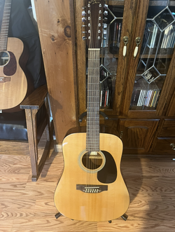 Recording King 12 String Acoustic