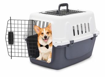 Athena Collection 22" Hard-Sided Travel Pet Carrier for Small Dogs and Cats Plastic Dog Crate with 2-Door Top & Front Load, Ventilation, Security Lock