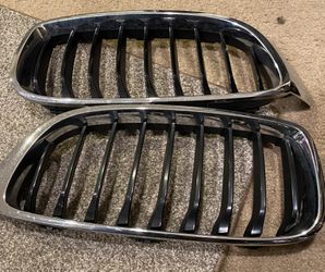 BMW Grill