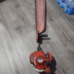 GUUD CONDITIONS CHINGON