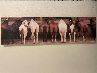 Horse decor (12 items)