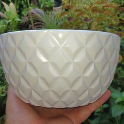 Geometric Bowl Planter succulents dish garden