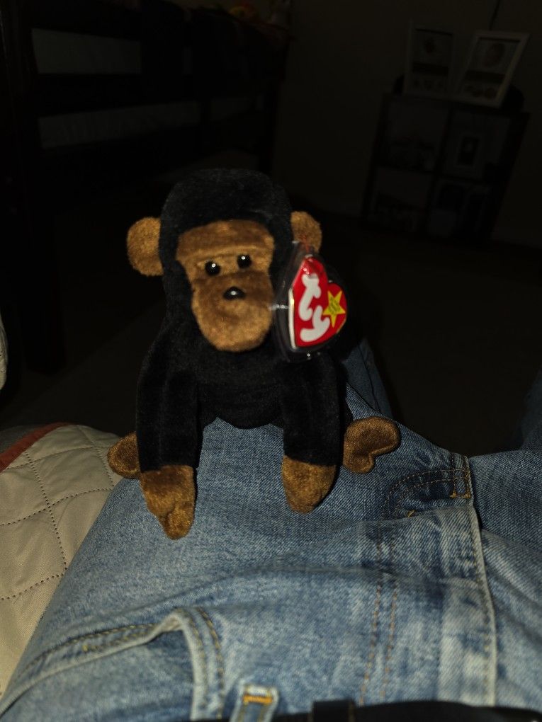 Congo The Monkey