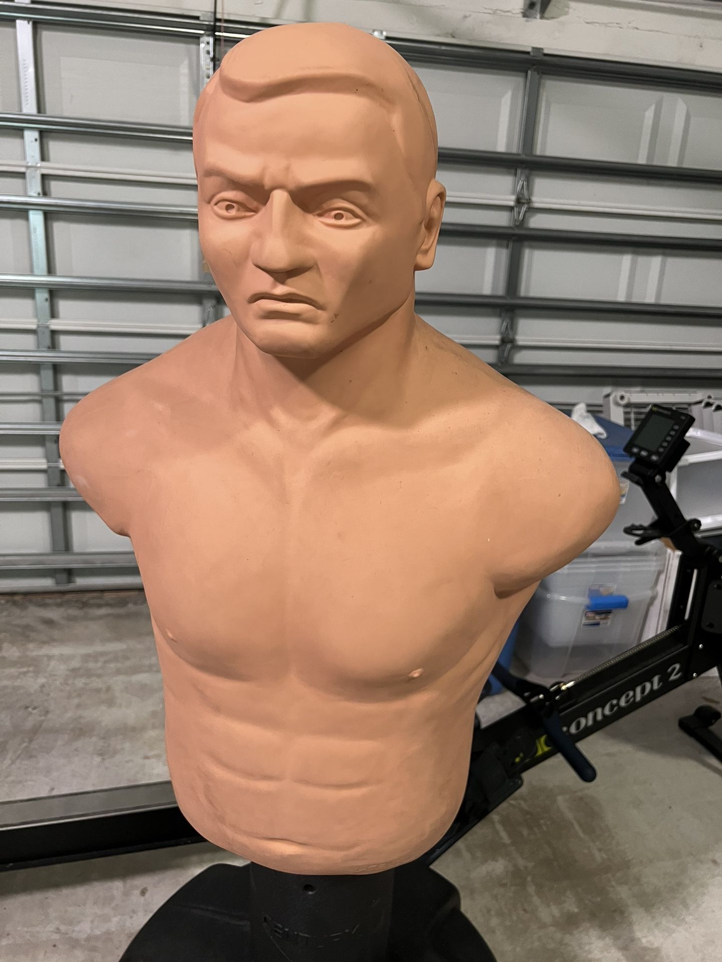 Century Bob Torso Training Bag