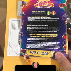 $300 VIP 2 Day Beyond Wonderland 