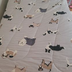 Twin Size Bed for Free