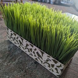 Plastic Fake Plants, Green Grass Potted, Artificial Plants Potted, False Green Plants for House, Office 

