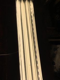 Light 