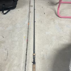 Bass Pro Casting Rod