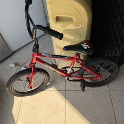16 Inch Bike 