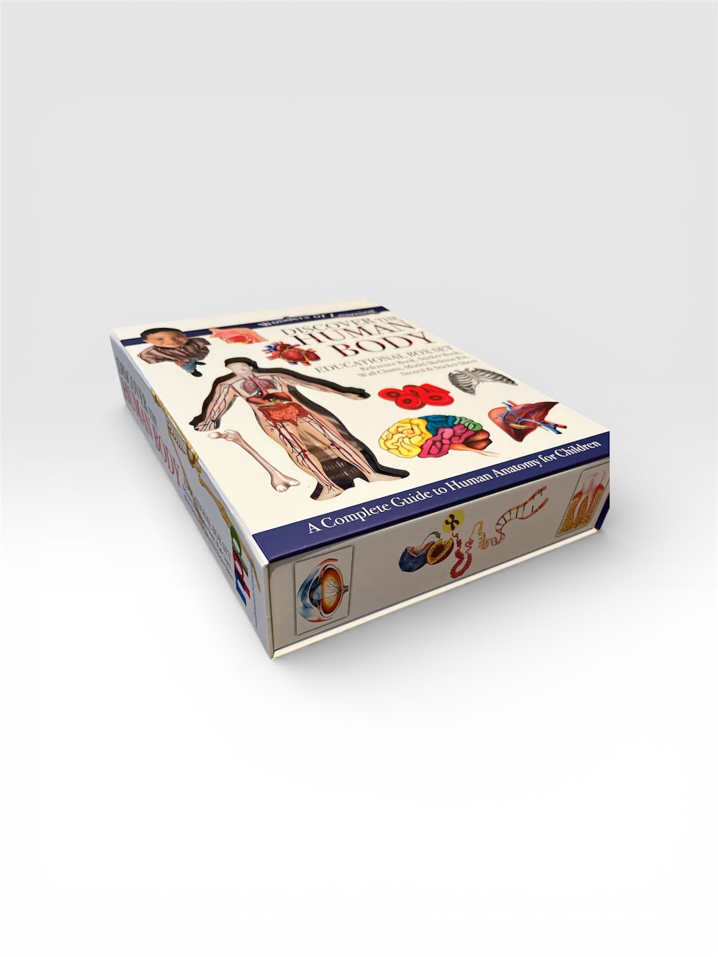 Discover the human body educational box set