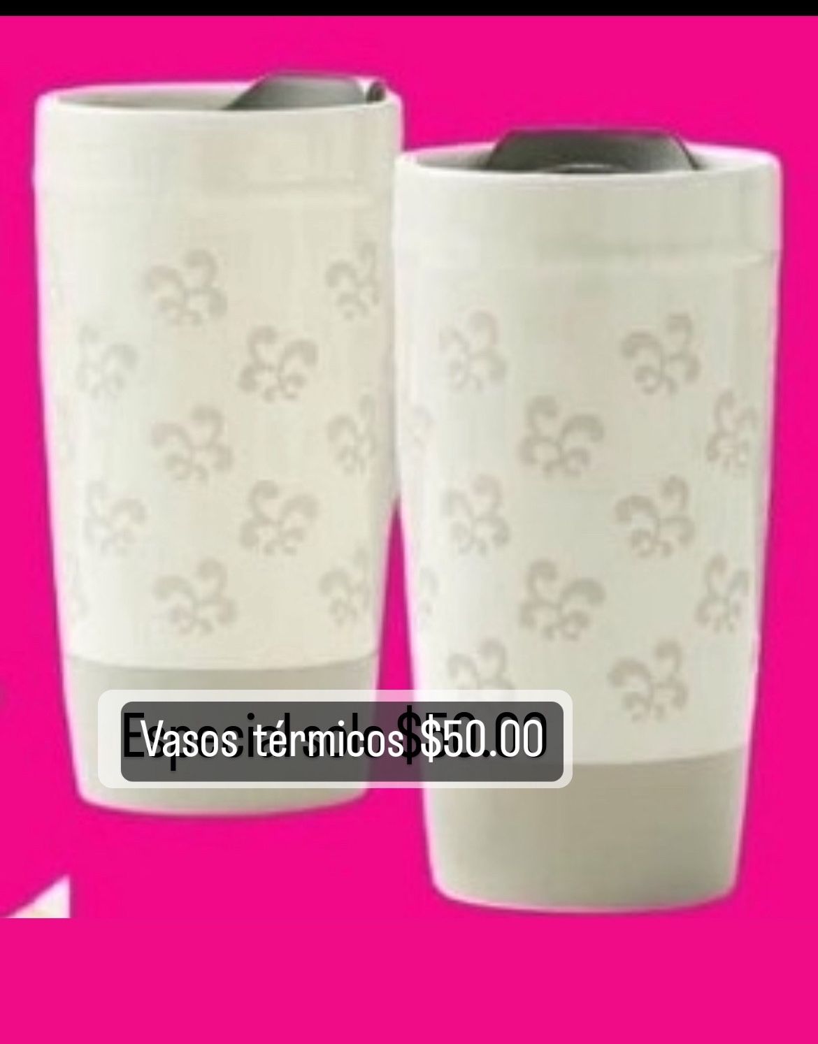 Set 2 Vasos Térmicos  Especial $40.00 De Porcelana De 14 Onzas Princess House 