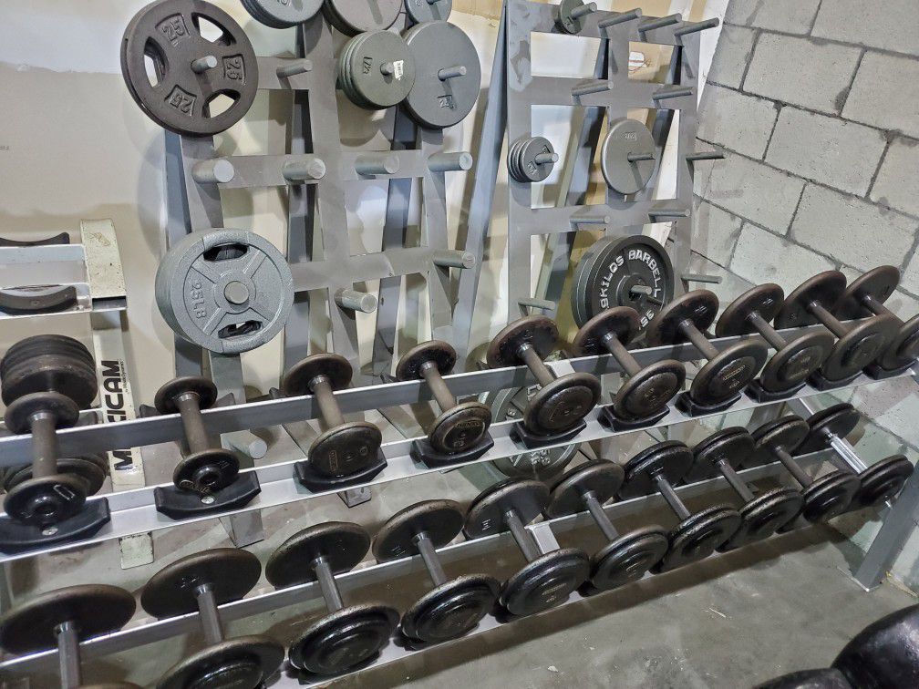 5-50lbs dumbbell set with rack