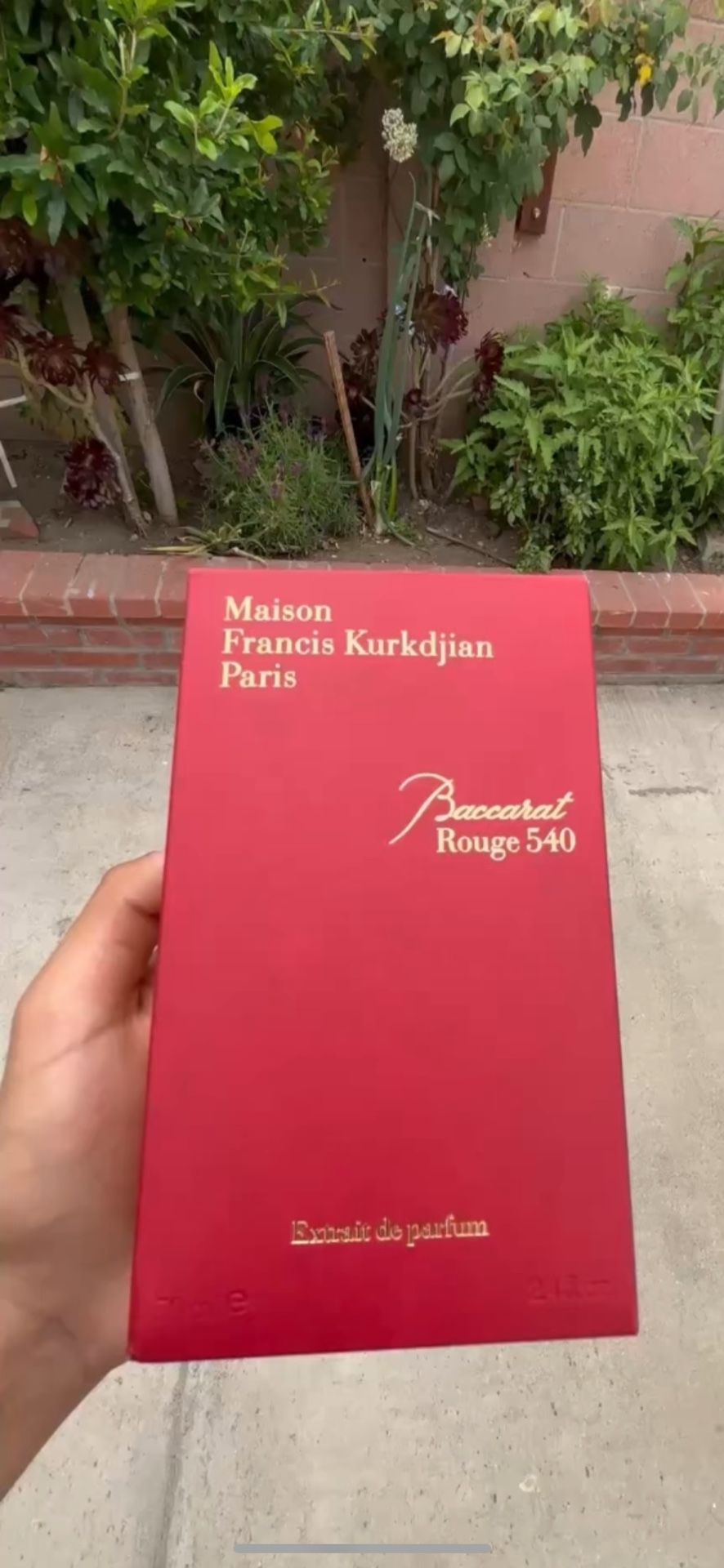 Baccarat Rouge 540