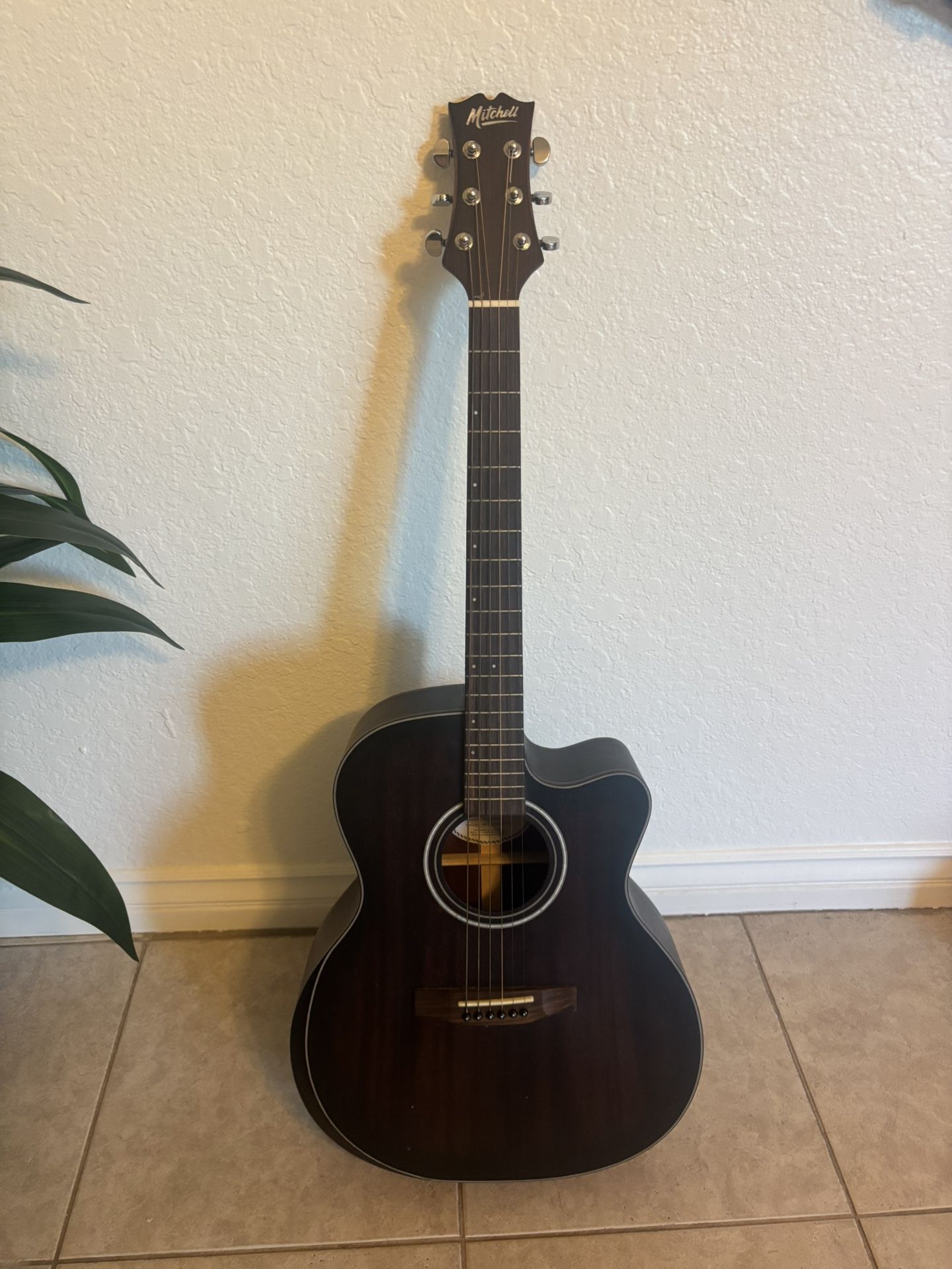Mitchell Guitar