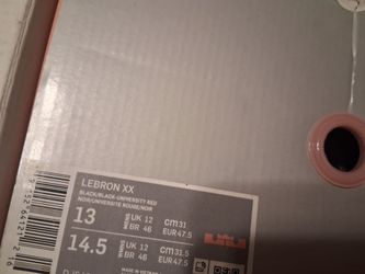 LbJ shoes size 13