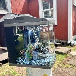 Fish Tank 