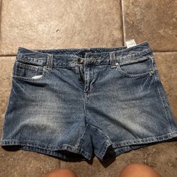 Tommy hilfiger clearance shorts sale