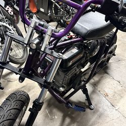 224 Predator Minibike