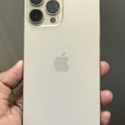 iPhone 13 Pro Max Unlocked