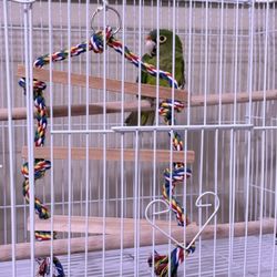 Half Moon Parrot Bird Cage 