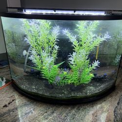 Corner Style Fish Tank
