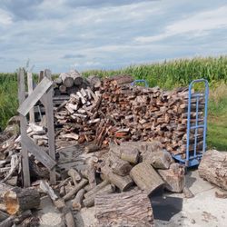 Firewood 