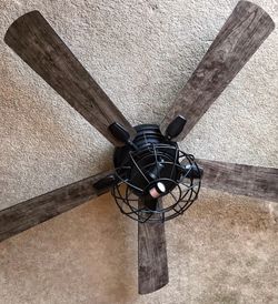 Ceiling Fan with Light Fixture, Lighting 