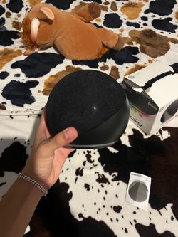 Speaker