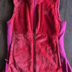 Northface  Vest. 