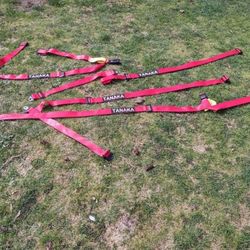 Brand New Tanaka Racing Seat Belts