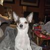 Peggy Kight Evans