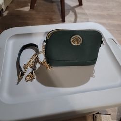 Green Purse With Gold Color Chain Strap
